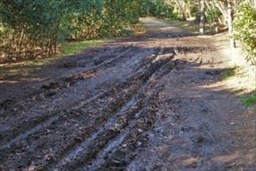 ぬかるんだ泥道走行時の注意点